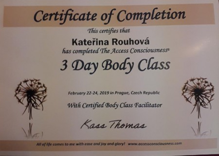 Access 3 Day Body Class